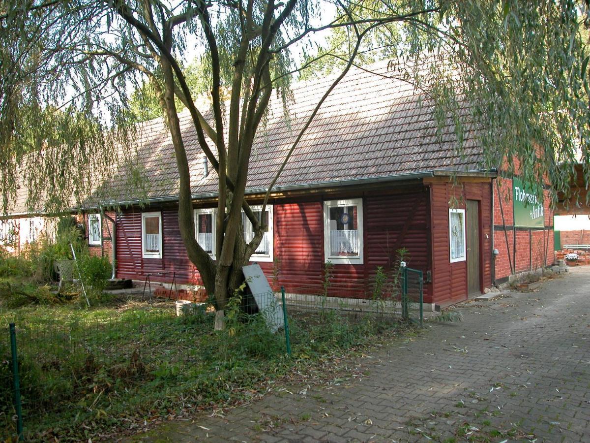 Suderburg Ferienwohnung Zeitenhof מראה חיצוני תמונה